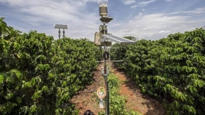 Campo dribla falta de internet para usar tecnologia de dados