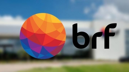 Ministério da Agricultura inicia fiscalização em fábricas da BRF