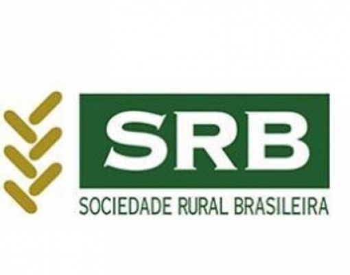 Renovação no Congresso Nacional fortalecerá representatividade do agro