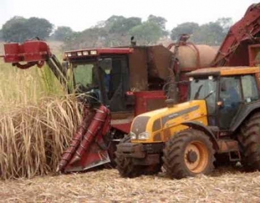 Produção de açúcar do CS será a menor em 12 anos; nova safra similar 