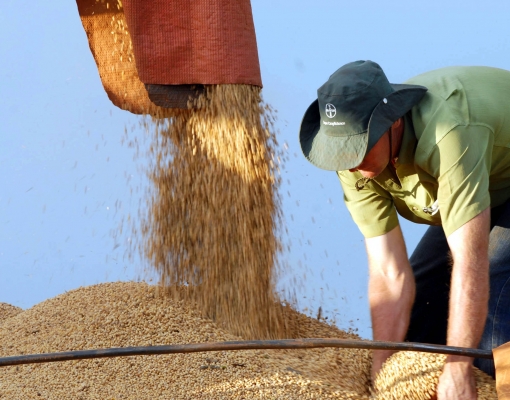 Exportações de soja na safra 2019/20 devem chegar a 79 mi de toneladas