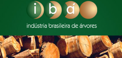 Produção brasileira de celulose cresce 18,2% em agosto 