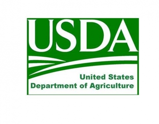USDA corta estimativas de safras de milho e soja 2018/19 dos EUA