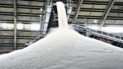 Mercado global de açúcar mudará para déficit em 2018/19, diz Datagro 