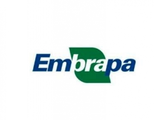 Estudo revela novo perfil da agricultura no nordeste paulista 