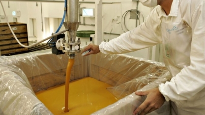 Suco de laranja: Exportações caem 38,7% em setembro, para 143,9 mil ton 