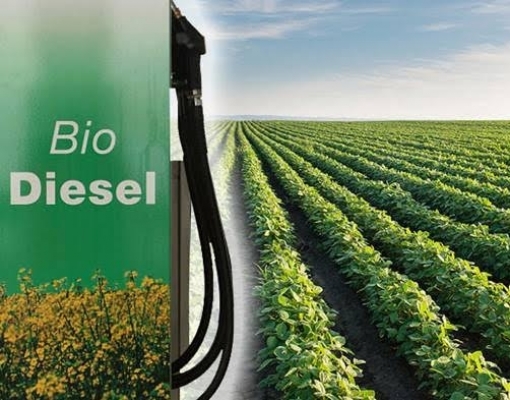 Investimento de R$ 75 mi na produção de biodiesel em Lucas do Rio Verde