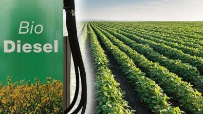 Investimento de R$ 75 mi na produção de biodiesel em Lucas do Rio Verde