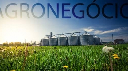 Como o marketing pode impulsionar o agronegócio brasileiro