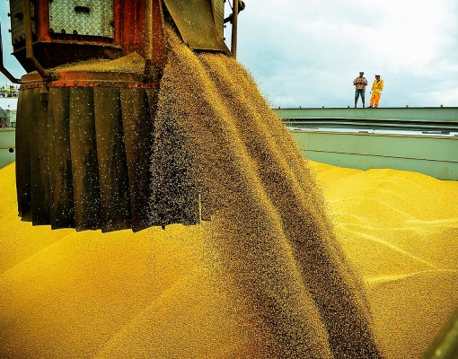 Brasil ganha mercado de soja na China, mas perde espaço para EUA na Europa 