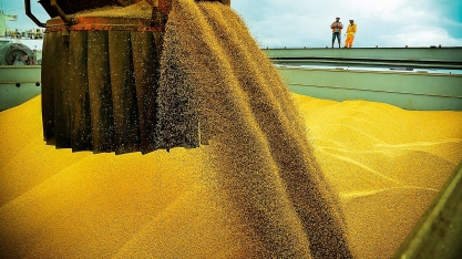 Brasil ganha mercado de soja na China, mas perde espaço para EUA na Europa 