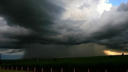 Chuva retarda colheita de cana e entressafra no CS pode ser mais curta
