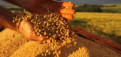 Soja: Exportação do complexo cresce 79,8% em receita ante out/2017 