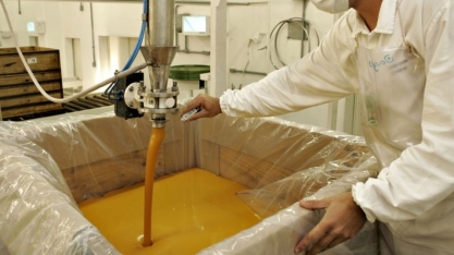 Exportações de suco de laranja recuam 21% em volume