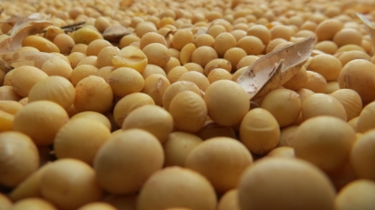 Exportação recorde de soja do Brasil à China pode ser ainda maior 