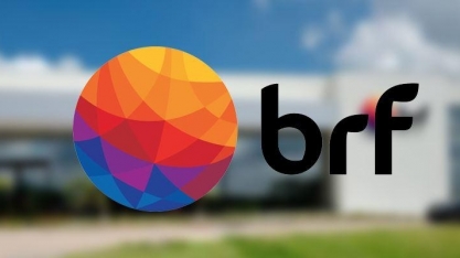 BRF perde R$ 16 bilhões na Bolsa em um ano 