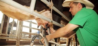 Demanda fraca e safra intensificam queda na cotação do leite