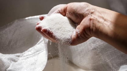 OIA prevê superávit global de açúcar menor diante de queda de produção