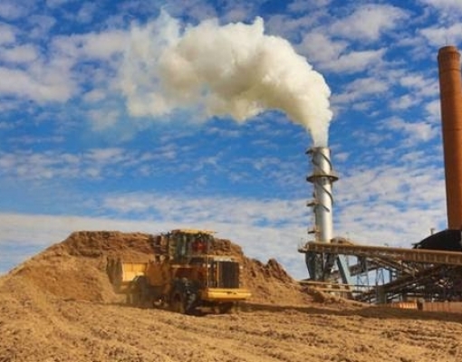 SP tem recorde de suficiência energética e cana contribuiu com 36%