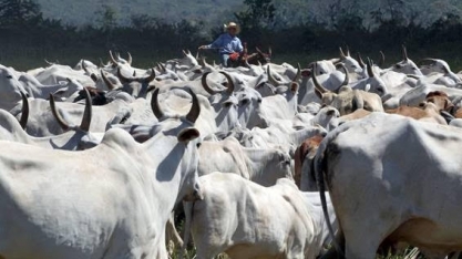 UE aponta falhas no controle sanitário do Brasil