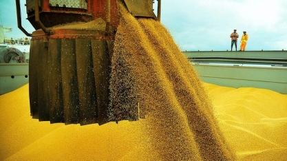 Exportação de soja cresce em outubro e atinge recorde para o mês