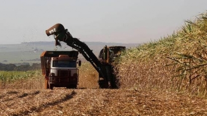 Ministéri0 da Agricultura prevê queda de 12,5% para a cana em 2019