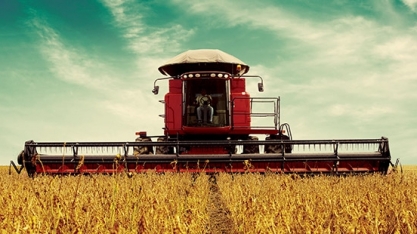 Brasil e EUA vão produzir menos soja, mas estoques são recordes