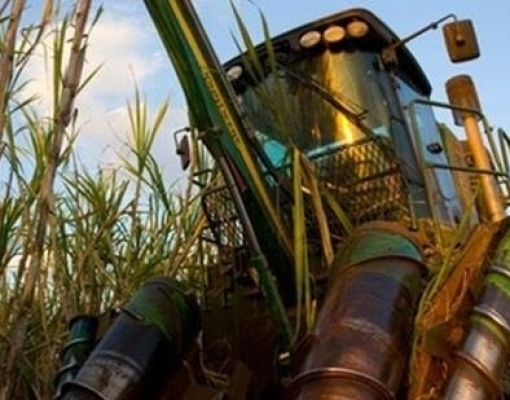 Estados nordestinos incentivam produção de açúcar e etanol