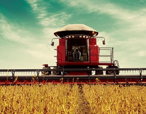 Aumento da produção de soja passa por desafios tecnológicos, diz Embrapa