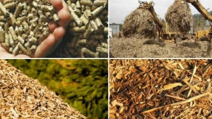  Cuba investe em energia de biomassa  