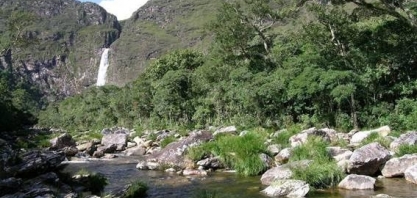 Bolsonaro critica ONGs e põe em xeque R$ 1 bi de projetos ambientais