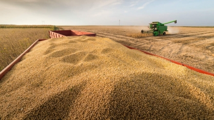 Exportação de soja atinge 78,5 mi t no ano, supera em 10 mi total de 2017