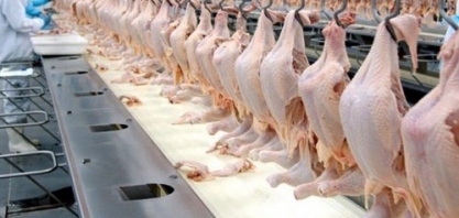 México vai importar carne de frango de mais 26 unidades,incluindo JBS e BRF 
