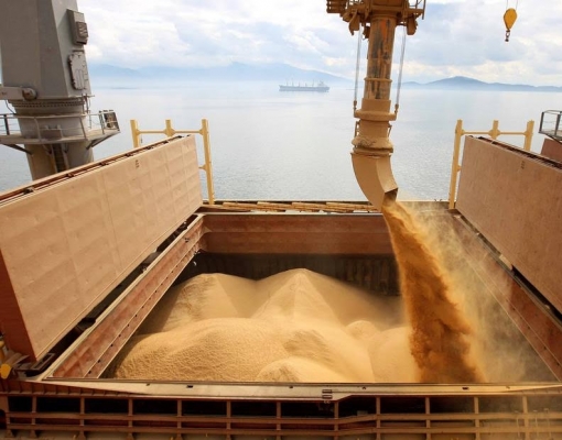 Abiove eleva safra de soja 2018; Setor exportará quase US$ 40 bi no ano 
