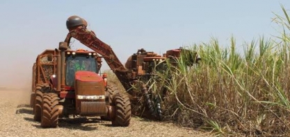 Retomada econômica poderá afetar o campo em 2019, diz analista