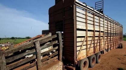 Venda de carne também se beneficia de guerra comercial