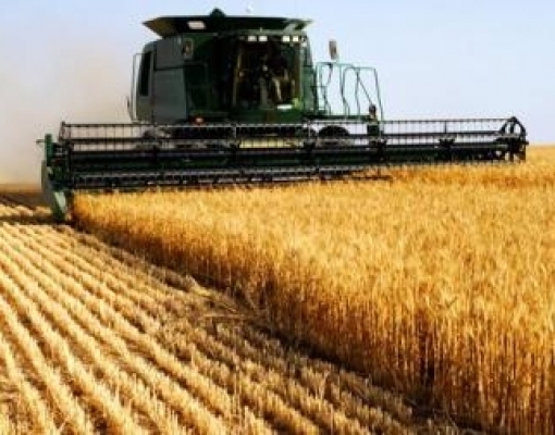 Colheita de soja do Brasil começará mais cedo, na 2ª quinzena de dezembro 