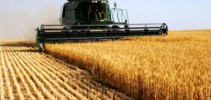 Colheita de soja do Brasil começará mais cedo, na 2ª quinzena de dezembro 