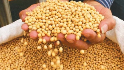 Exportação do agronegócio cresce 5,7% em outubro, diz ministério