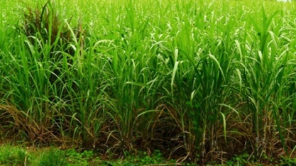 ATR PR: valor projetado cai 0,86% em novembro 