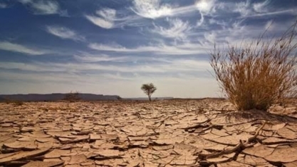 Brasil está entre países que mais perdem dinheiro com mudanças climáticas