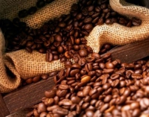 Brasil exporta 3,68 milhões de sacas de café em novembro