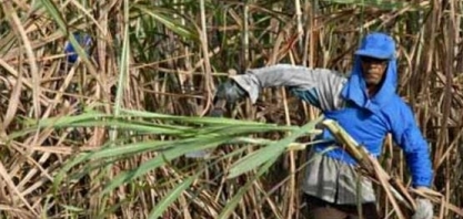 Canavieiros decidem entrar em greve em Pernambuco