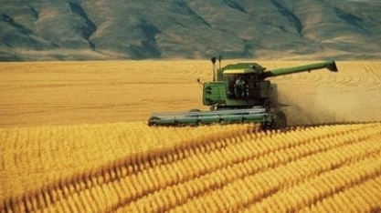 Área no Centro-Oeste dobra de 2006 a 2017, mostra IBGE