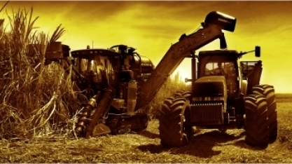 São Martinho e Cosan anunciam cisão das operações da Usina Santa Luiza