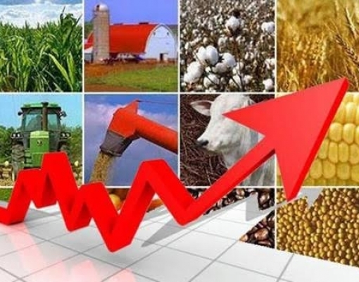 PIB do agro cresceu 2,5% no 3º trimestre ante 2017