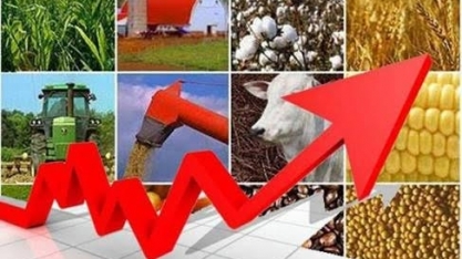 PIB do agro cresceu 2,5% no 3º trimestre ante 2017