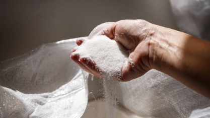 Prêmio para açúcar no Brasil pode levar a cancelamentos de exportação