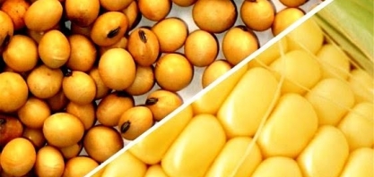 China quer soja barata, traders esperam oferta por milho