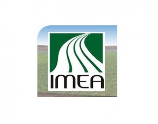 MT: Produtores de soja usam mais recursos próprios na produção